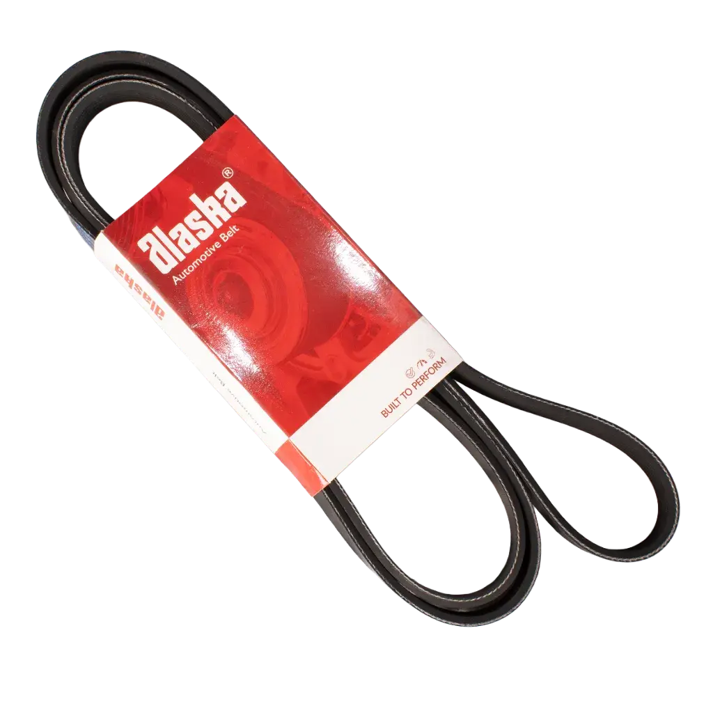 Banda Micro V 6PK-2126 Alaska K060837
