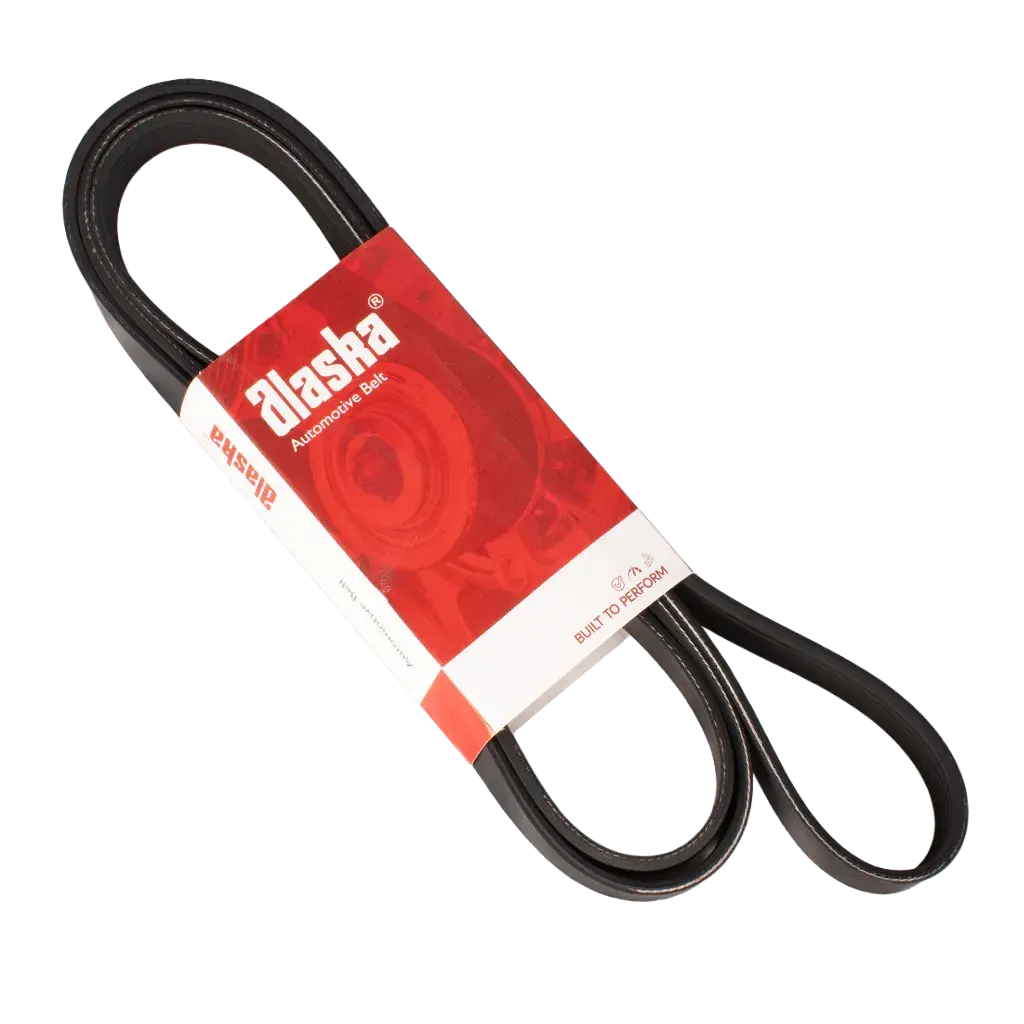 Banda Micro V 6PK-2223 Alaska K060875