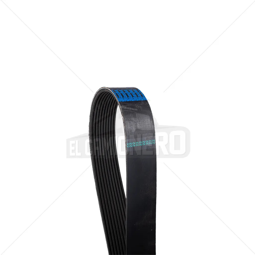 Banda micro V Alaska K100582