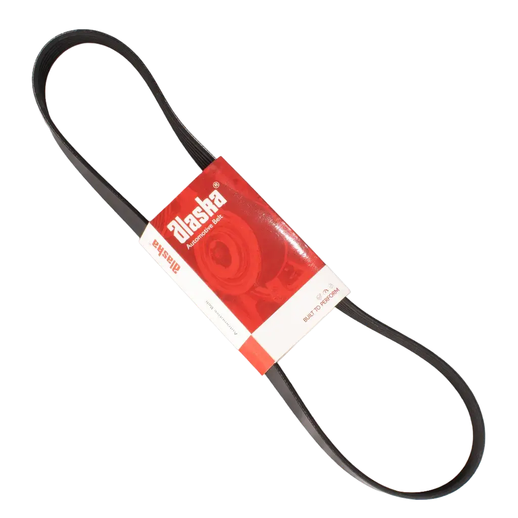 Banda Micro V  6PK-1120 Alaska K060441